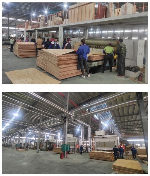 開年開好局，大王椰家具板渠道發(fā)力氣勢如虹，網(wǎng)絡(luò)服務(wù)賦能新增長